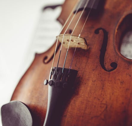 The Musician’s Ultimate Guide To Violin Strings